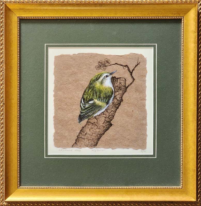 Rebecca Gilmore - Rifleman