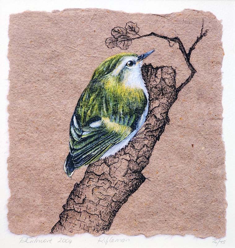 New Zealand Art: Rebecca Gilmore - Rifleman