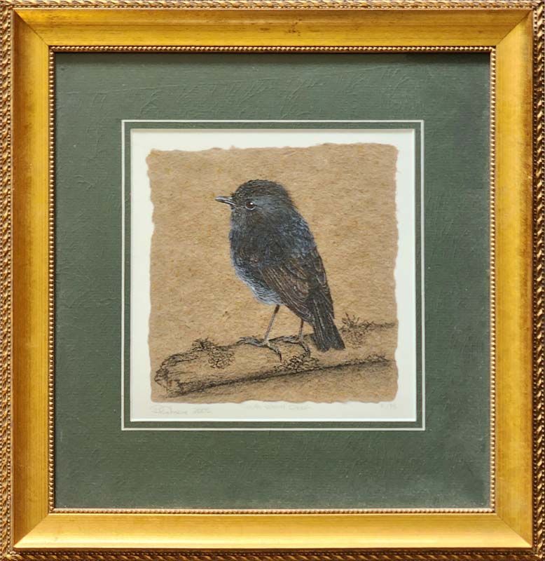 Rebecca Gilmore - South Island Robin