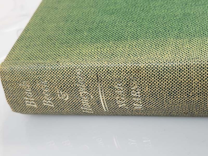 New Zealand books: Black Beech & Honeydew