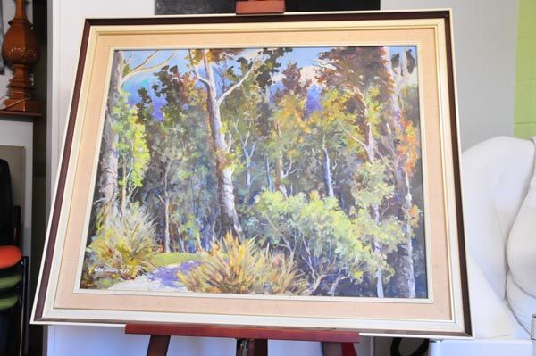 Bush scene - G W Cotton 1977