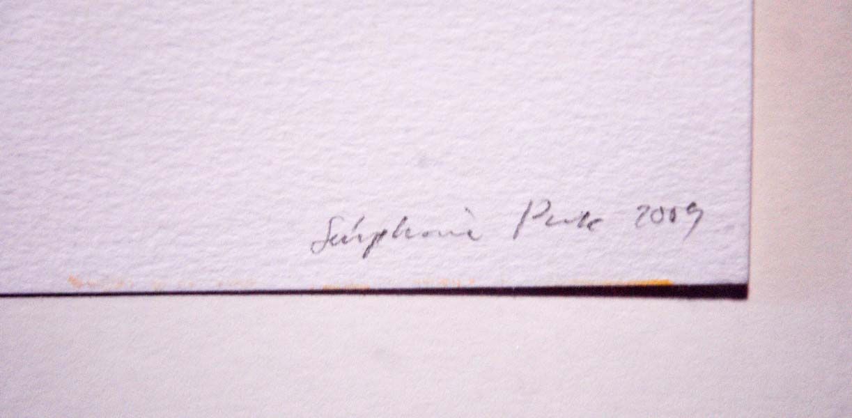 New Zealand Art: Seraphine Pick Watercolour Painting