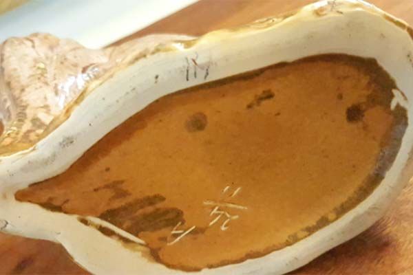 Crown Lynn: Crown Lynn - Kiwi, brown coloured