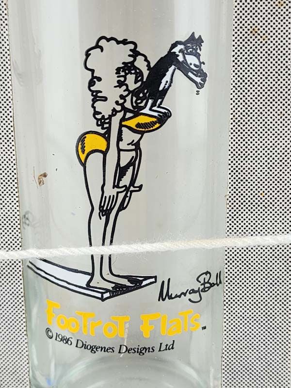 Glass: Footrot Flats glasses