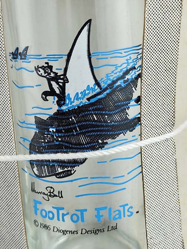 Glass: Footrot Flats glasses