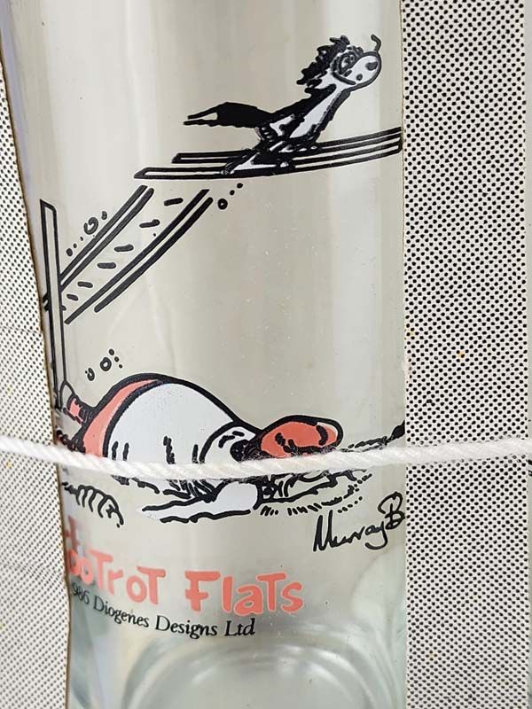 Glass: Footrot Flats glasses