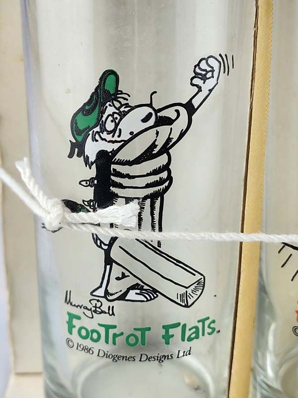 Glass: Footrot Flats glasses