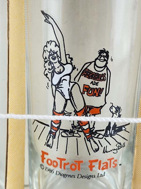 Glass: Footrot Flats glasses