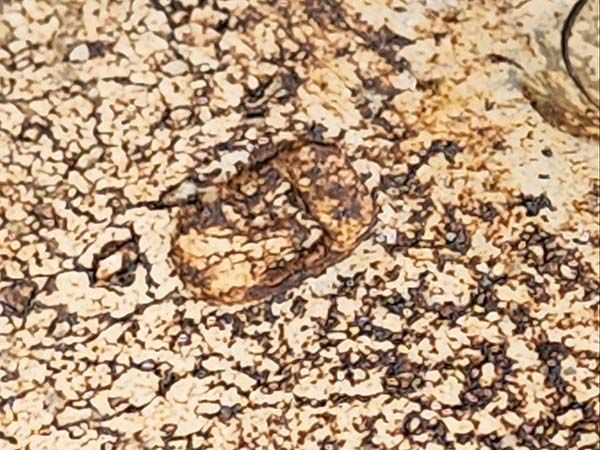 Len Castle pottery: Len Castle - Pacific Bowl 