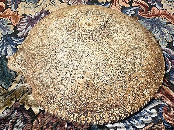 Len Castle pottery: Len Castle - Pacific Bowl 