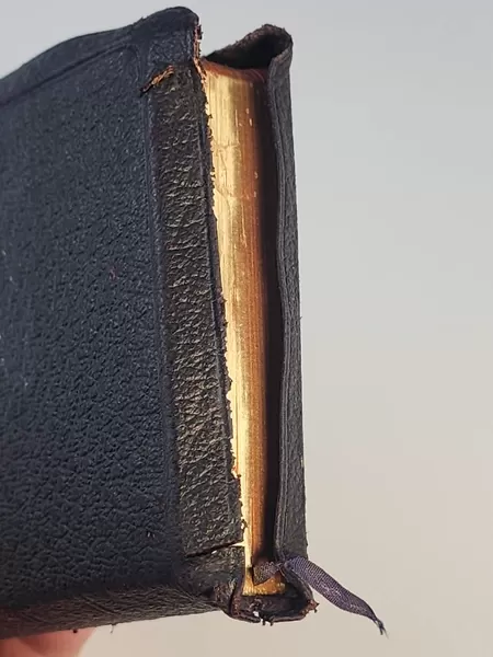 Books: Maori Bible 1912