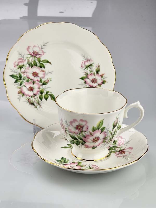 Royal Albert, Friendship - Wild Rose trio
