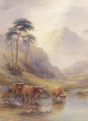 Highland Cattle Pattern