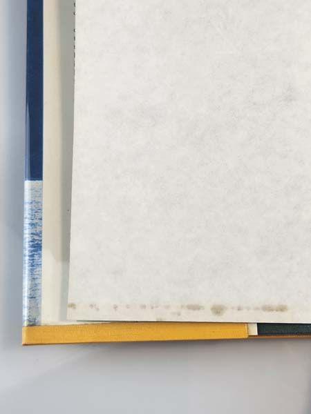 New Zealand books: Wild Irishman The Story Of Bill Hamilton, New Zealand Farmer, Inventor, Engineer, And Jet Boat Pioneer